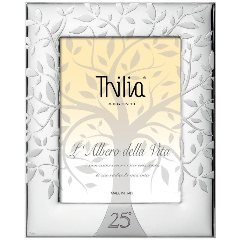 Cornice 25° Anniversario