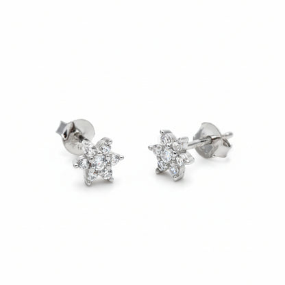 Orecchini Stelle in Argento con Zirconi