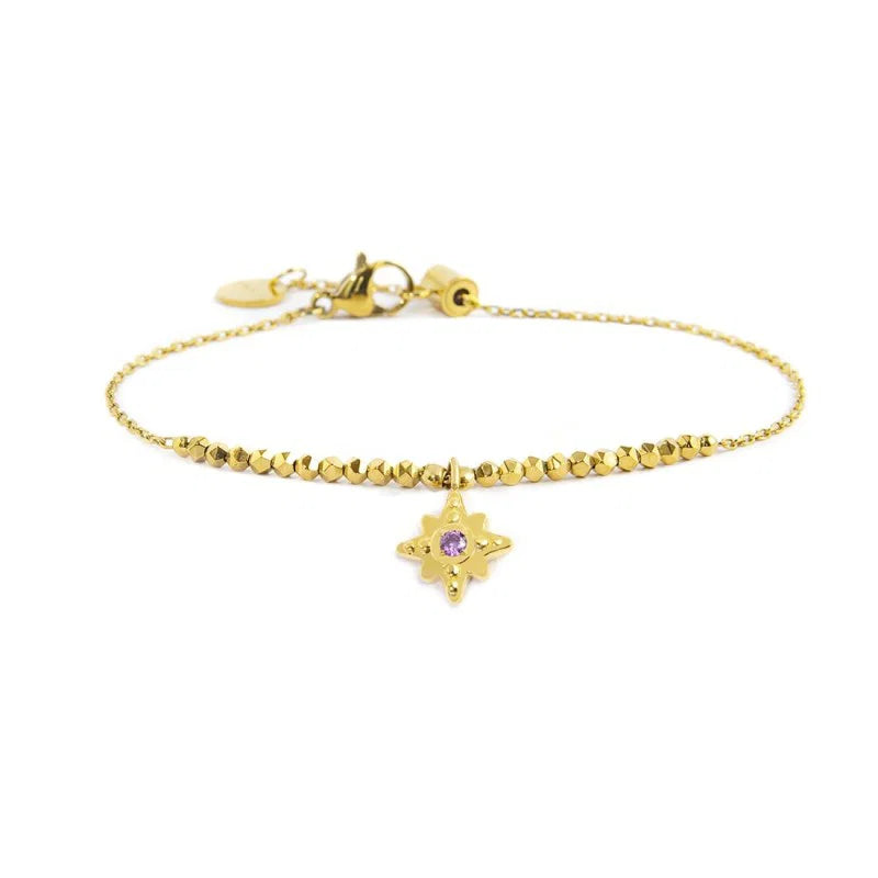 Bracciale Rosa dei Venti Pendente con Zircone Viola in Acciaio Oro Marlù
