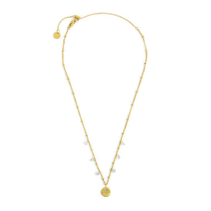 Collana in Acciaio Dorato con Medaglietta Rosa dei Venti e Zirconi