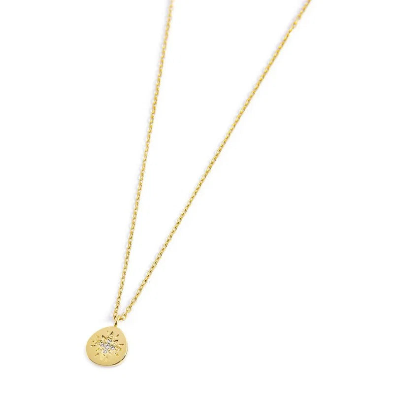 Collana in Acciaio Dorato con Medaglietta Rosa dei Venti
