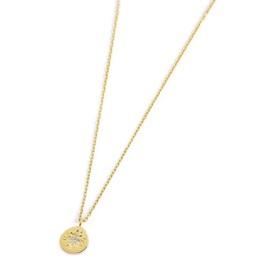 Collana in Acciaio Dorato con Medaglietta Rosa dei Venti Marlù