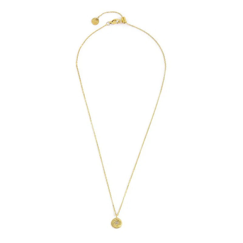 Collana in Acciaio Dorato con Medaglietta Rosa dei Venti