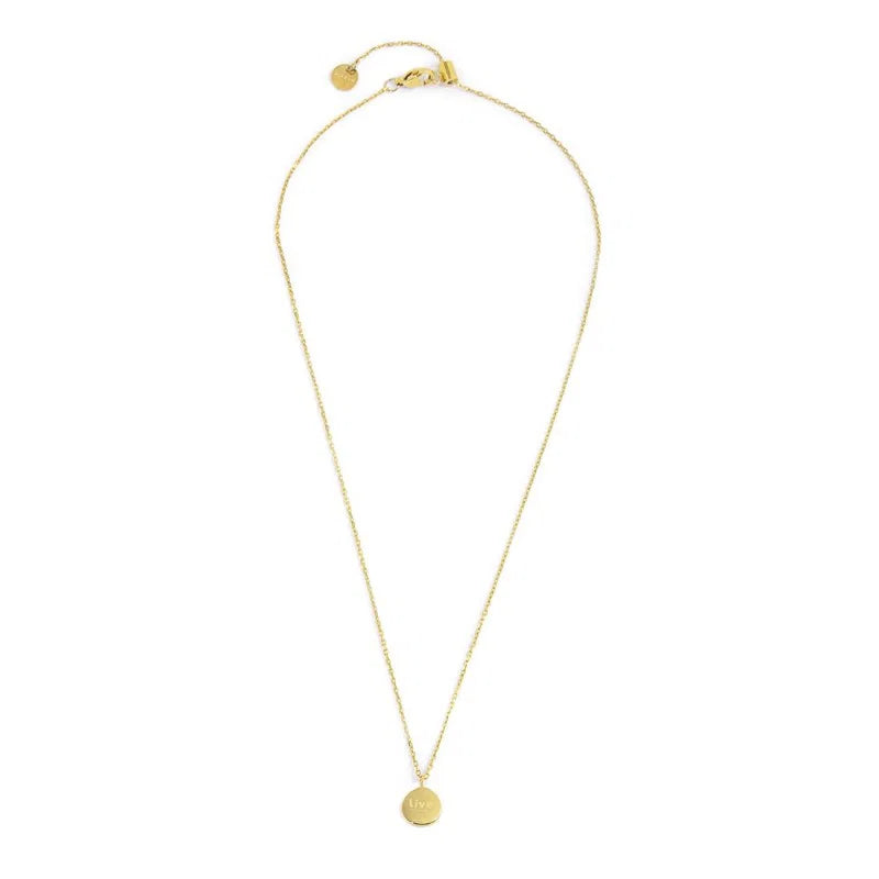 Collana in Acciaio Dorato con Medaglietta Rosa dei Venti