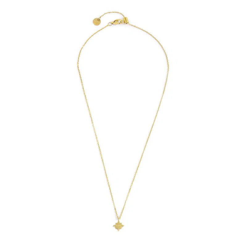 Collana Rosa dei Venti con Zircone Viola Pendente in Acciaio Oro Marlù