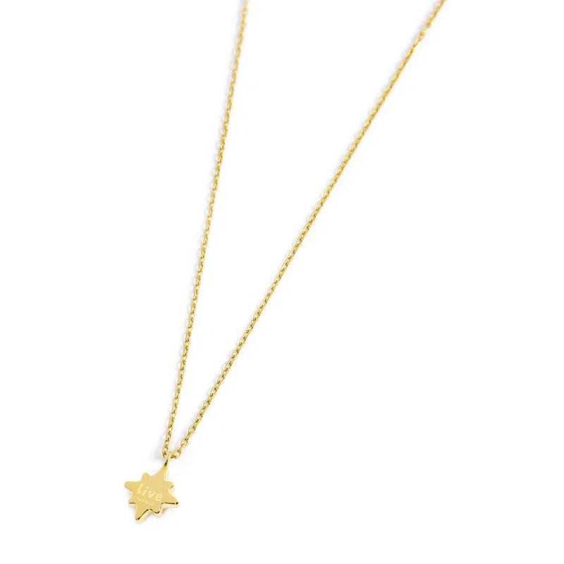 Collana Rosa dei Venti con Zircone Viola Pendente in Acciaio Oro Marlù