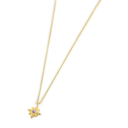 Collana Rosa dei Venti con Zircone Viola Pendente in Acciaio Oro Marlù
