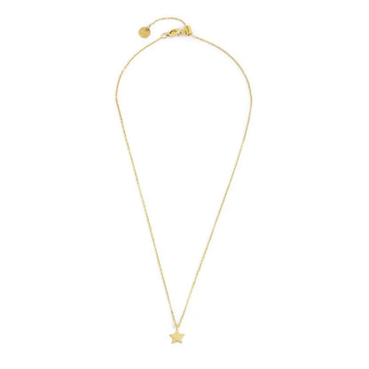 Collana Stella Pendente con Zircone Azzurro in Acciaio Oro Marlù