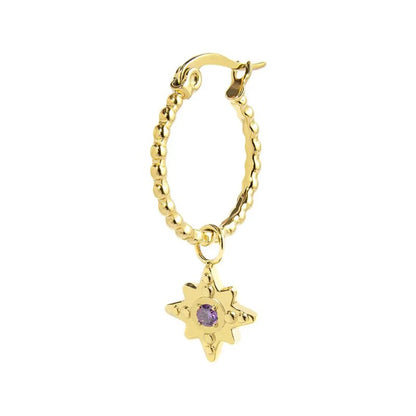 Orecchino a Cerchio in Acciaio Dorato con Rosa dei Venti e Zircone Viola