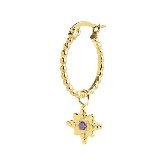 Orecchino a Cerchio in Acciaio Dorato con Rosa dei Venti e Zircone Viola Marlù